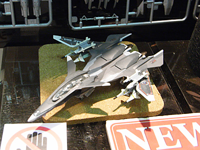 plala2010-130.jpg