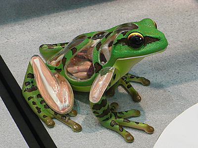 plala2011-129.jpg